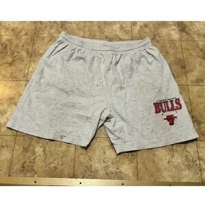 Vintage 1990s Chicago Bulls Shorts Michael Jordan Era